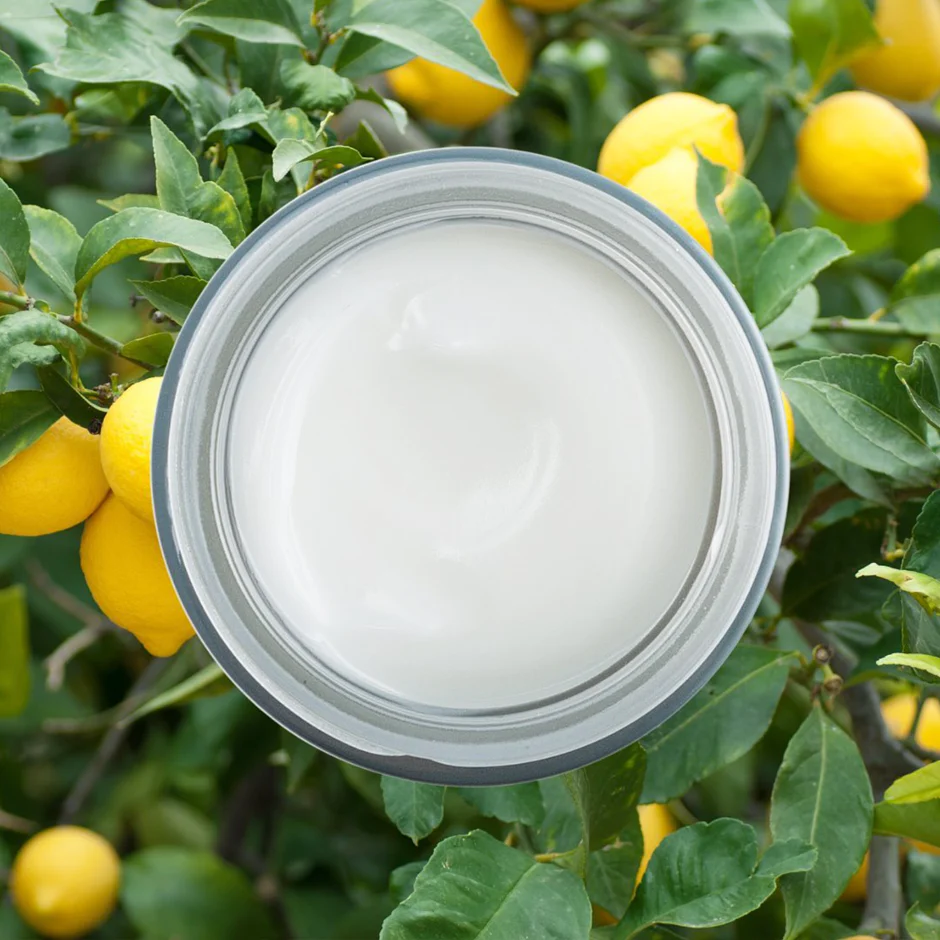 Body Balm - Image 8